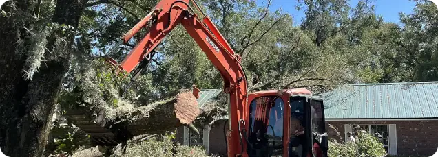 About Grand Oaks Tree Service