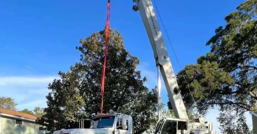 Residential tree project showing active pruning and cleanup around fencing and hardscape areas.