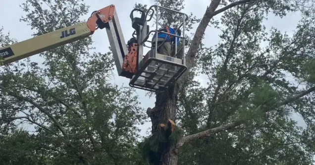 The Pre-Hurricane Checklist Every Pasco & Hillsborough County Homeowner Needs