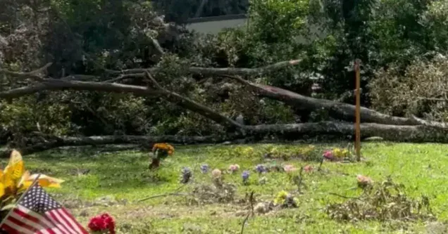 Wesley Chapel Land Clearing – Preparing Lots for New Development